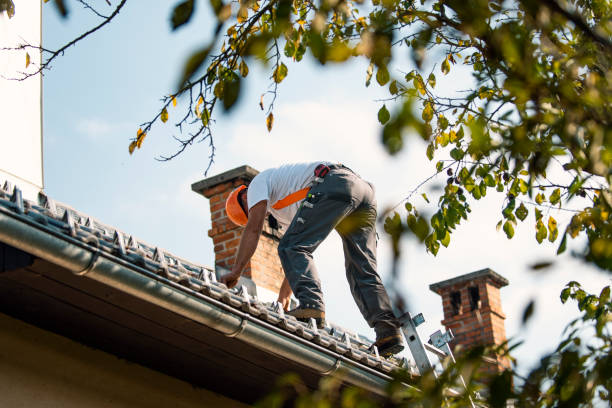 Quick and Trustworthy Emergency Roof Repair Services in Roscoe, IL