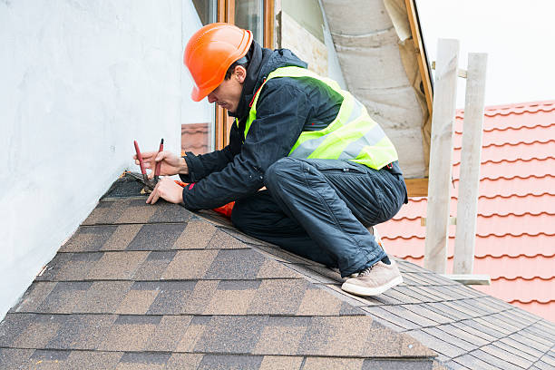 Best Roof Waterproofing Services  in Roscoe, IL