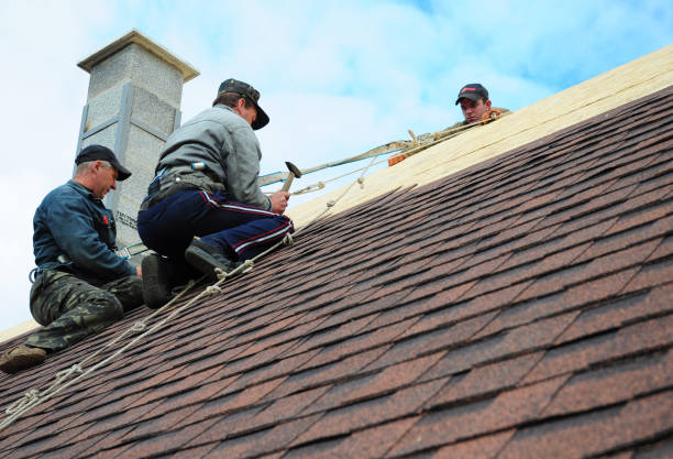 Best Residential Roofing Contractor  in Roscoe, IL